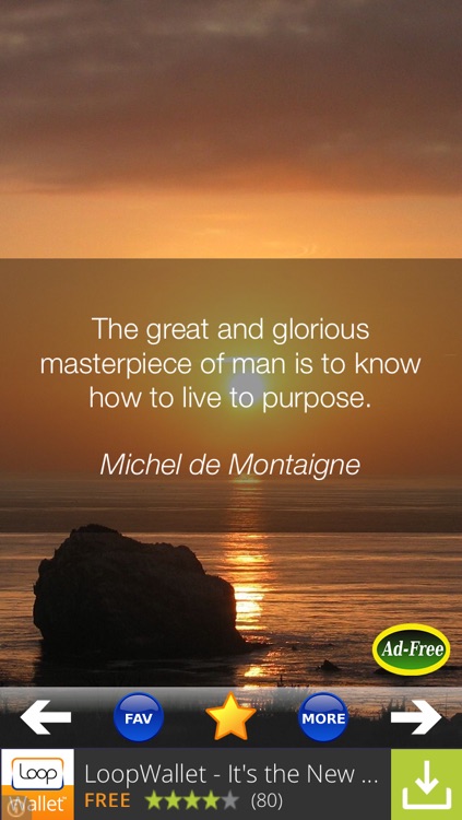 Best Self-Help Quotes FREE! Inspirational and Motivational Wisdom Sayings for Daily Healing, Stress Solutions & Anxiety Management! screenshot-3