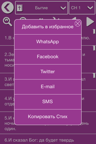 Russian Bible Audio screenshot 4