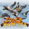Duck hunter game