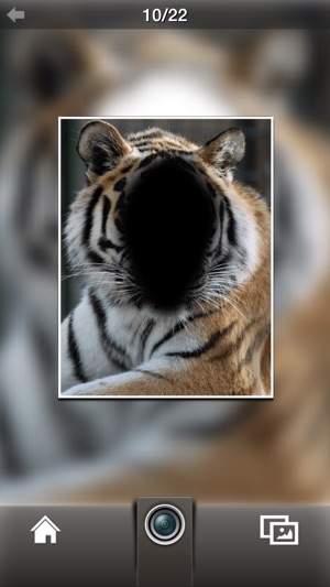 Photo Fun Animal(圖4)-速報App