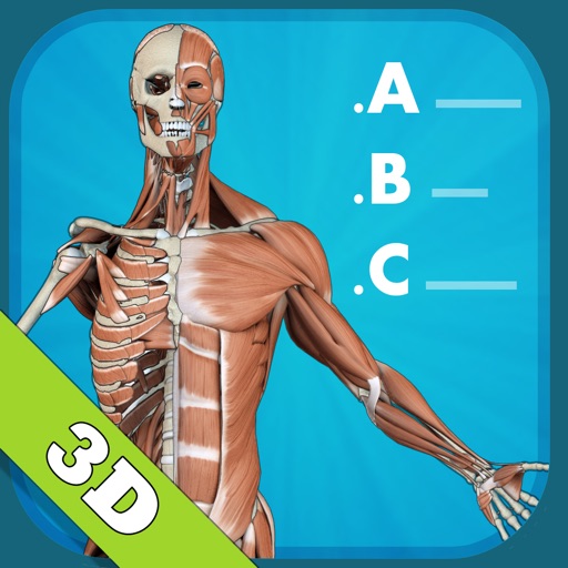 Anatomy Quiz - muscles and bones iOS App