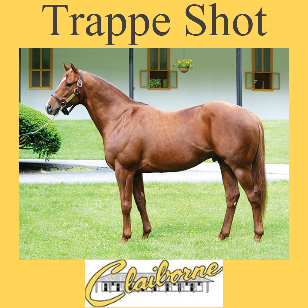 Trappe Shot