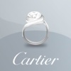 Cartier Bridal in Arabic