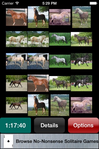 Matching Game - ASL, Horses, Airplanes & More screenshot 3