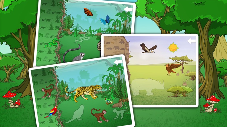 Wild animals in the forest, the jungle and the savannah by Kidstatic Apps  ApS
