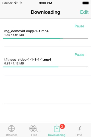 MP4 Downloader: video file download in 2 easy steps screenshot 2