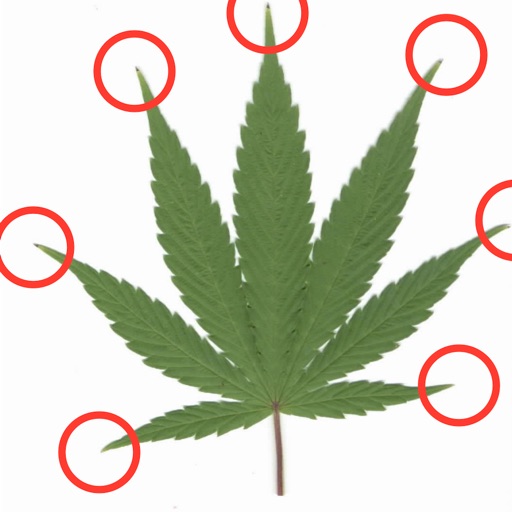 weedMatch icon