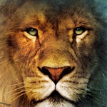 2016 新的动物叫声- Animal Sounds Free