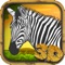 Zebra Wildlife Simulator 3D