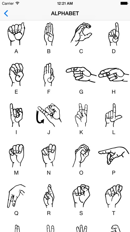 ASL Basics by Almas Daumov