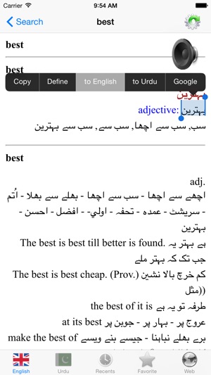 English Urdu best dictionary - انگریزی اردو لغت بہترین ترجمه(圖3)-速報App