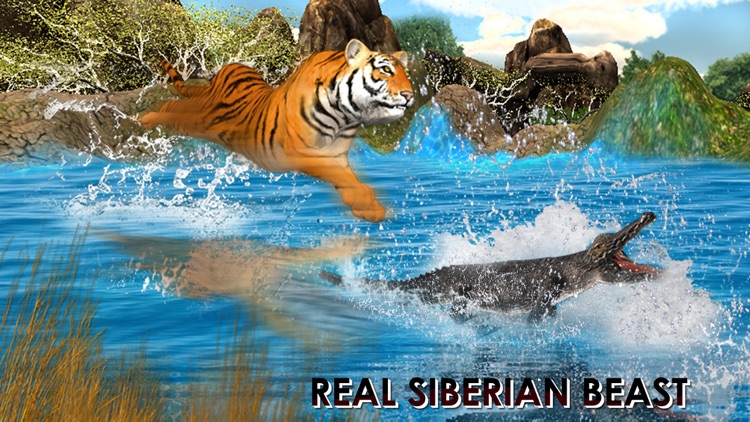 Wild Tiger Jungle Hunt 3D - Real Siberian Beast Attack on Deer in Safari Animal Simulator Game