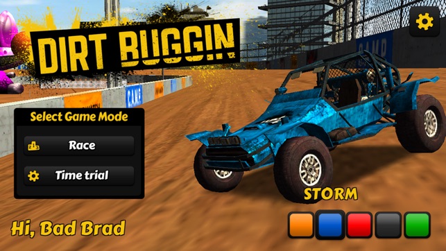 Dirt Buggin Pro