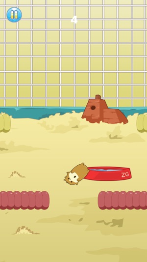 Guinea Pig Escape! - Jump Fall Cage Hero(圖3)-速報App