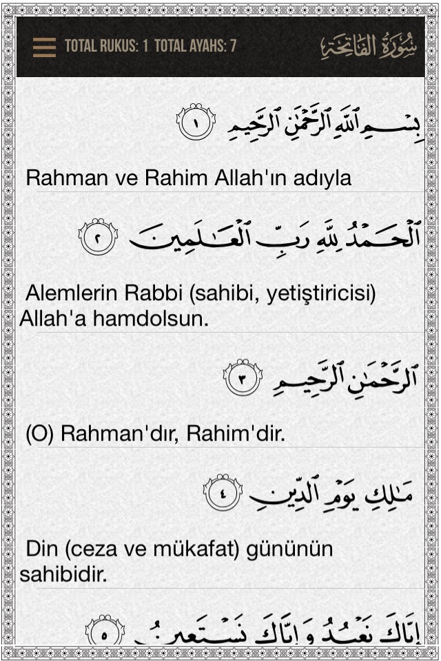 Quran-Turkish screenshot 2