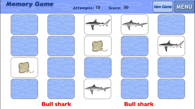 Sharks & Rays - Identification Guide screenshot-4