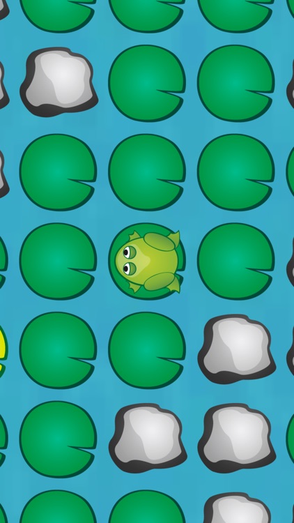 Lilypad Maze