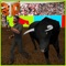 Angry Bull Simulator 3D - the crazy bullring arena game