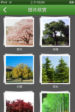 中国苗木销售网 screenshot 2