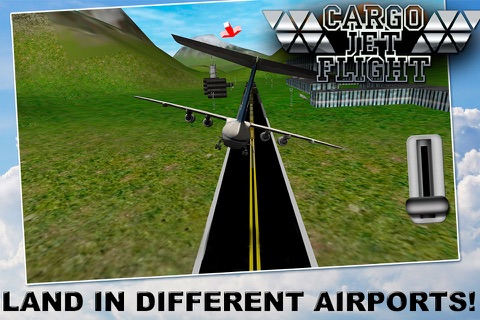 Cargo Jet: Flight Simulator 3D Free screenshot 3