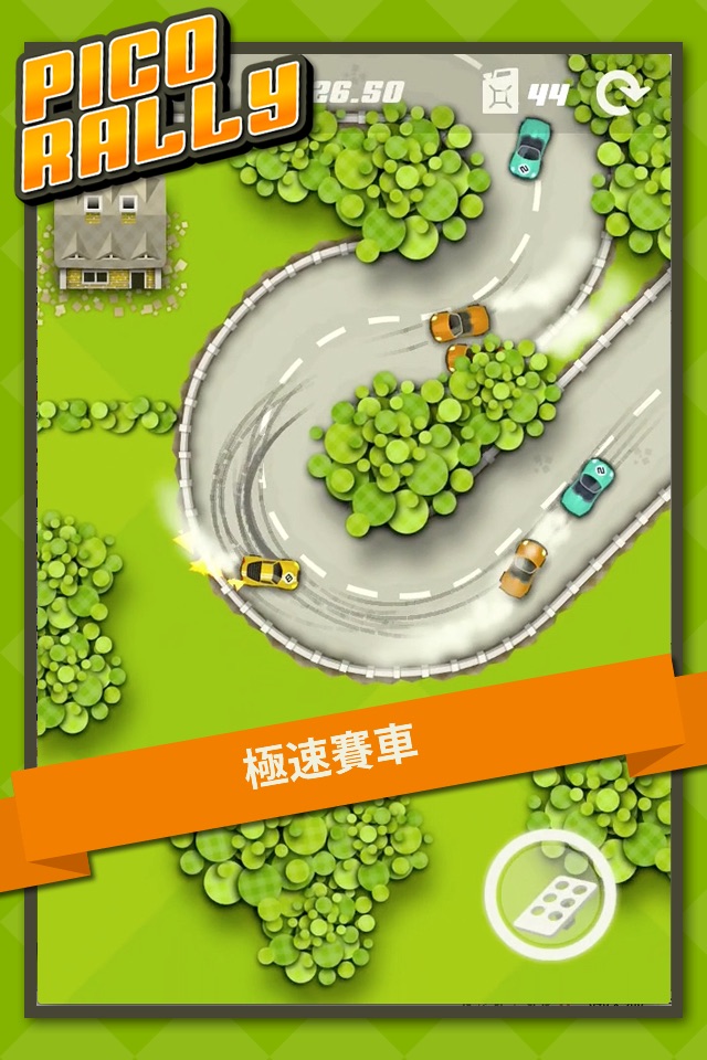 Pico Rally screenshot 2