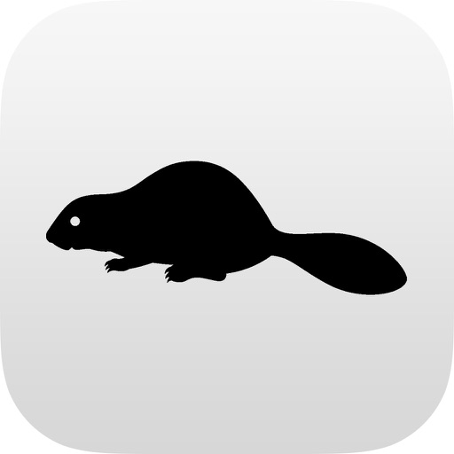 RiverBrain Flows iOS App