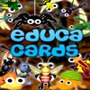 Bichos Educa Cards