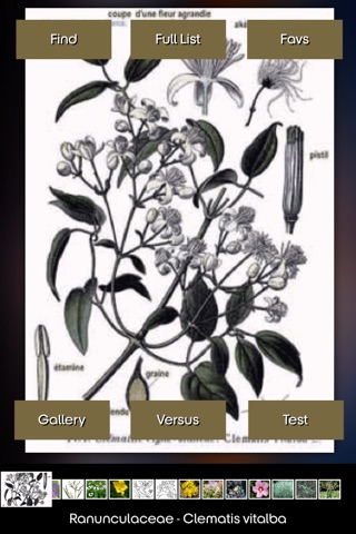Medicinal Plants+ screenshot 3