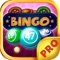 Bingo 5 PRO - Play Online Casino and Number Card Game for FREE !