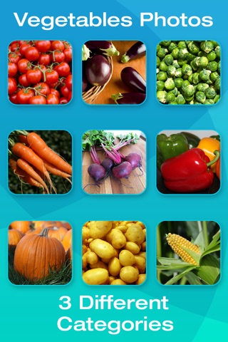 Fruit and Vegetable Picture Flashcards for Babies, Toddlers or Preschool screenshot 4