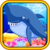 Tap the Wild Shark in the Ocean Game