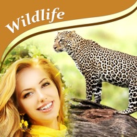 Wildlife Photo Frame Unlimited