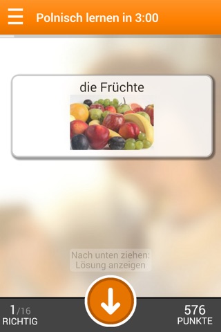 Polnisch lernen in 3 Minuten screenshot 3