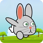 Hoppy Bunny - Journey of Flappy Birds Friend