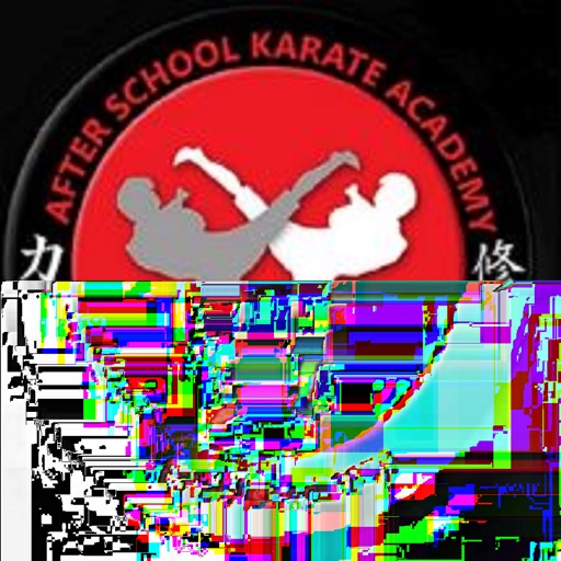 After School Karate Academy Icon