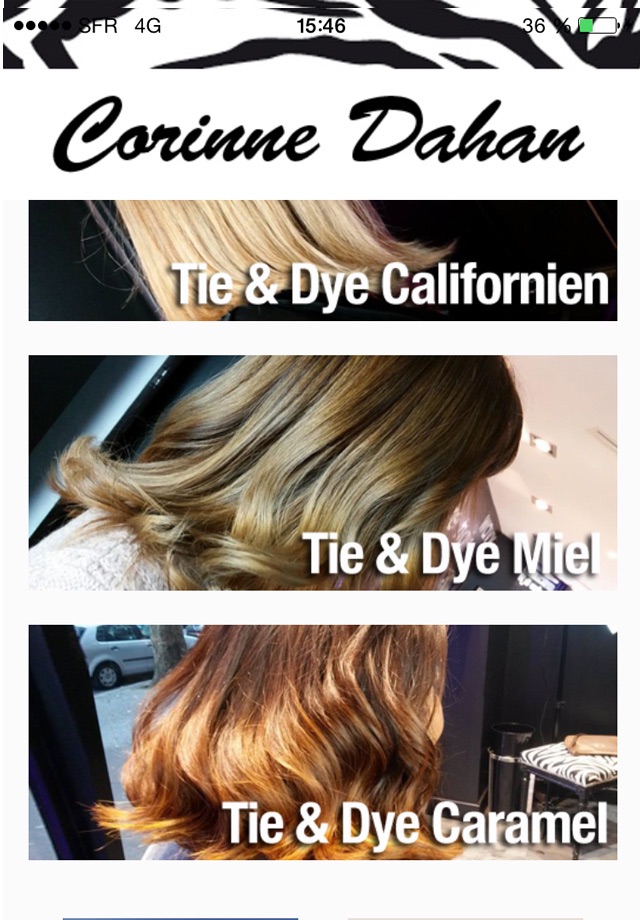 Corinne Dahan Coiffure screenshot 2