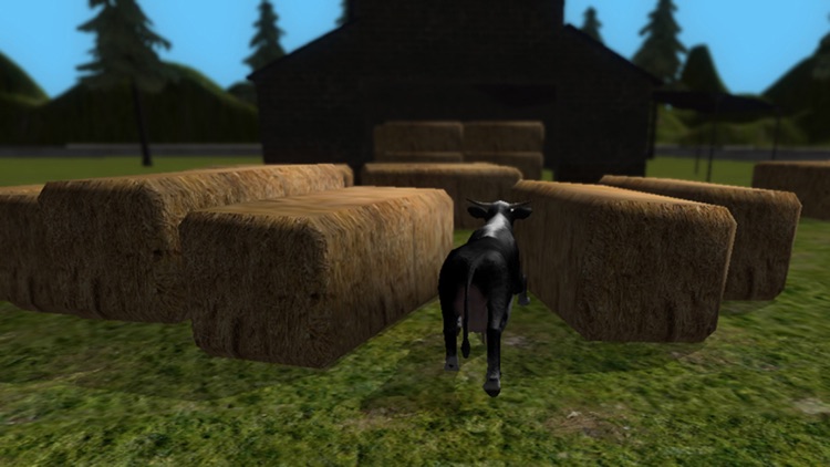 Crazy Cow Simulator FREE screenshot-3