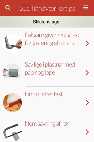 Gør Det Selv: 555 håndværkertips screenshot 2