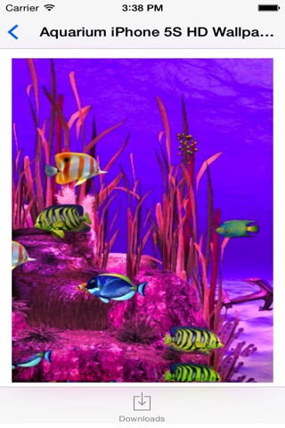 Aquarium HD Wallpaper for iPhone screenshot 3