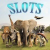 Zoo Animals 2 - FREE Slot Game Casino Roulette