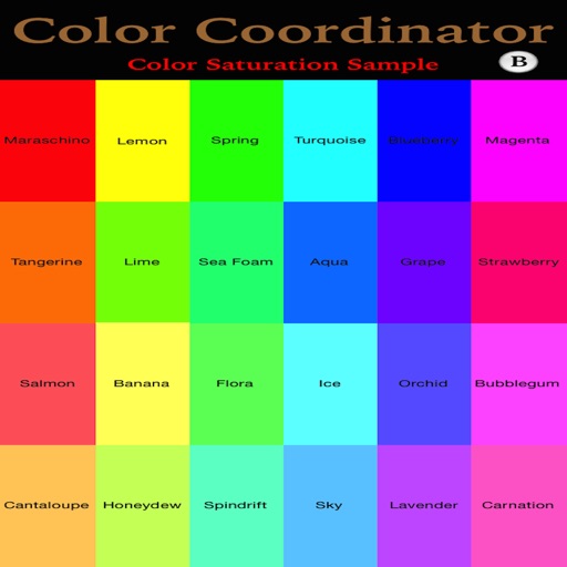 Hair Color Level Scale by Hirokazu Ito