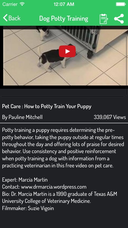 Dog Training Video Guide
