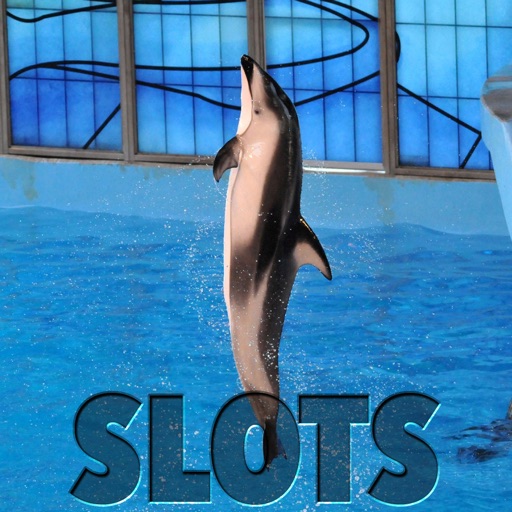 White Side Of The Pacific Dolphin Slots - FREE Las Vegas Casino Spin for Win icon