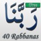 Icon 40 Rabbanas (Supplications in Quran) - Free