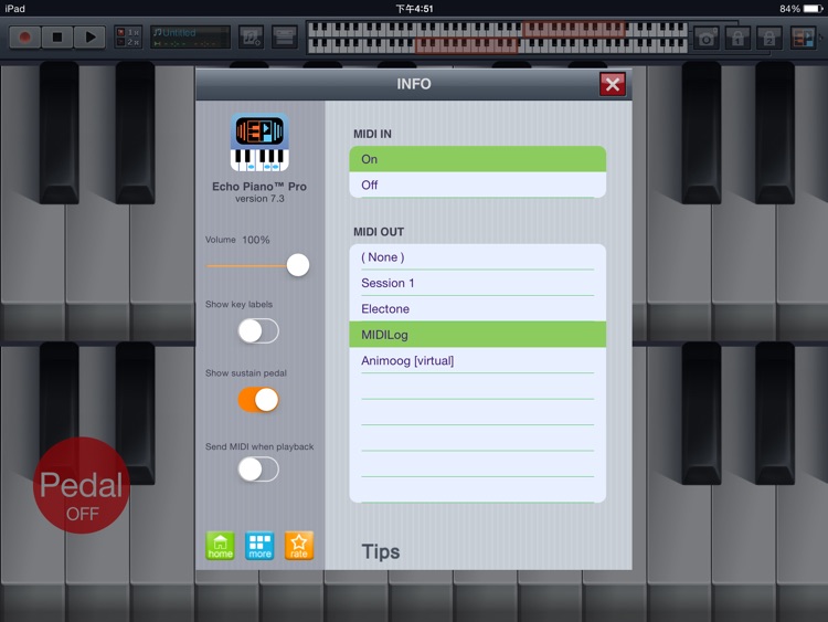 Echo Piano™ Pro screenshot-3