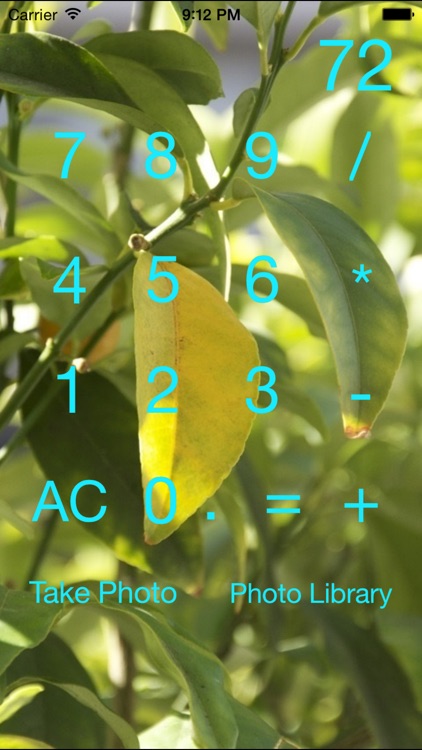 Simplistic Calculators