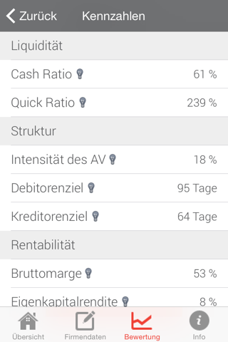 NexOwn Unternehmensbewertung LIGHT screenshot 3