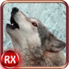 Wolf Attack Simulator - Revenge of Wild Rampage Beast &amp; Hunting Adventure