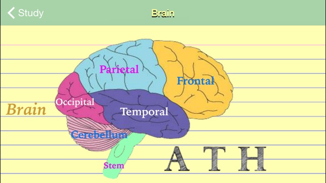 Study-Psych(圖2)-速報App