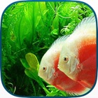 Top 38 Education Apps Like Tanked Aquarium 3D - Relaxing Tropical Scenes with Coral Reef, Sharks & Fish Tank - Best Alternatives